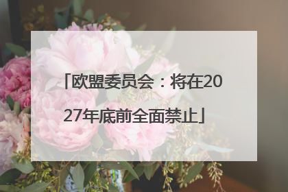 欧盟委员会：将在2027年底前全面禁止