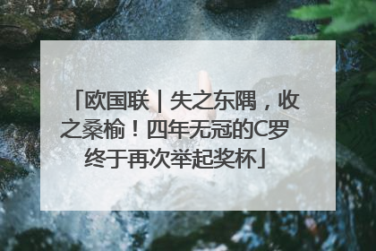 欧国联｜失之东隅，收之桑榆！四年无冠的C罗终于再次举起奖杯
