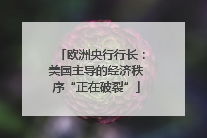 欧洲央行行长：美国主导的经济秩序“正在破裂”
