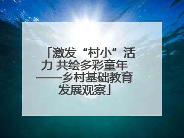 激发“村小”活力 共绘多彩童年——乡村基础教育发展观察
