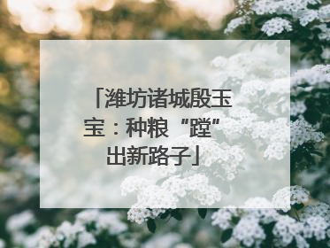 潍坊诸城殷玉宝：种粮“蹚”出新路子