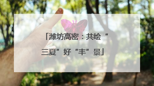 潍坊高密：共绘“三夏”好“丰”景