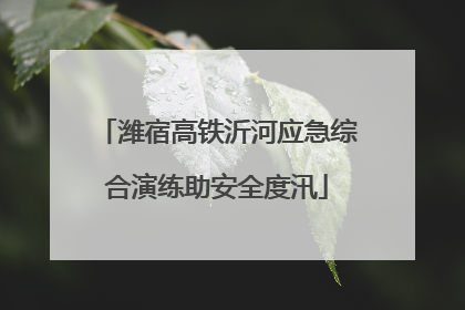 潍宿高铁沂河应急综合演练助安全度汛