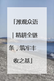 潍观众语｜精耕全链条，筑牢丰收之基