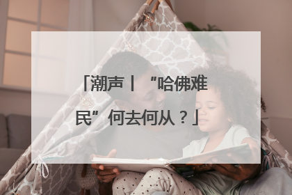 潮声丨“哈佛难民”何去何从？