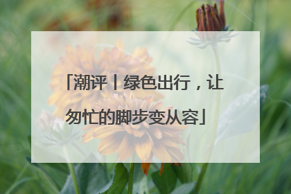 潮评丨绿色出行，让匆忙的脚步变从容