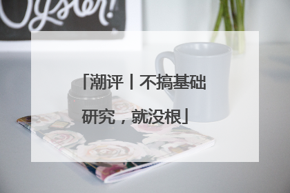 潮评丨不搞基础研究，就没根