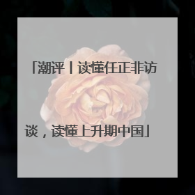 潮评丨读懂任正非访谈，读懂上升期中国