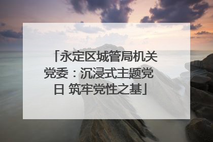 永定区城管局机关党委：沉浸式主题党日 筑牢党性之基
