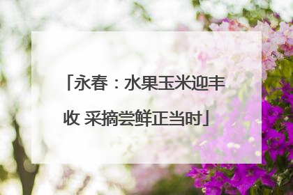永春：水果玉米迎丰收 采摘尝鲜正当时