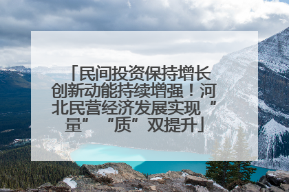 民间投资保持增长 创新动能持续增强！河北民营经济发展实现“量”“质”双提升