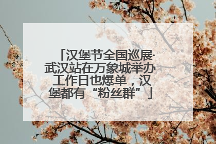 汉堡节全国巡展·武汉站在万象城举办 工作日也爆单，汉堡都有“粉丝群”