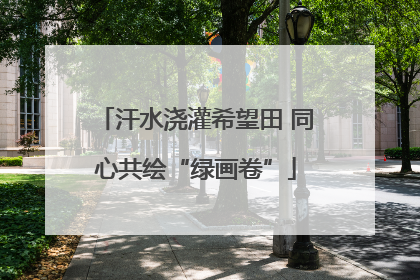 汗水浇灌希望田 同心共绘“绿画卷”