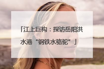 江上巨构：探访岳阳洪水港“钢铁水骆驼”