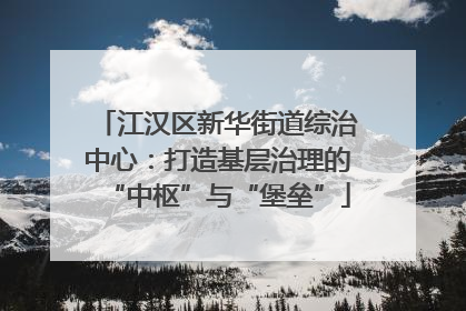 江汉区新华街道综治中心：打造基层治理的“中枢”与“堡垒”