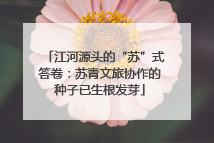 江河源头的“苏”式答卷：苏青文旅协作的种子已生根发芽