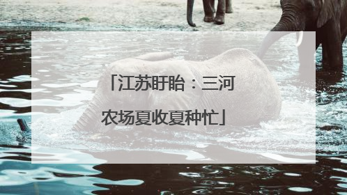 江苏盱眙：三河农场夏收夏种忙
