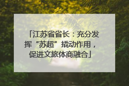 江苏省省长：充分发挥“苏超”撬动作用，促进文旅体商融合