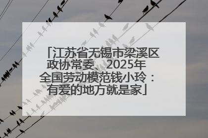 江苏省无锡市梁溪区政协常委、2025年全国劳动模范钱小玲：有爱的地方就是家