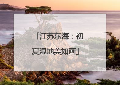 江苏东海：初夏湿地美如画