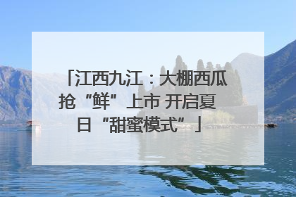 江西九江：大棚西瓜抢“鲜”上市 开启夏日“甜蜜模式”