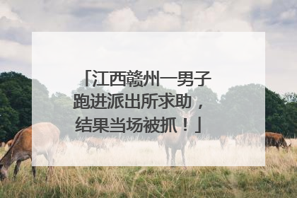江西赣州一男子跑进派出所求助，结果当场被抓！