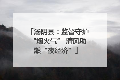 汤阴县：监督守护“烟火气” 清风助燃“夜经济”