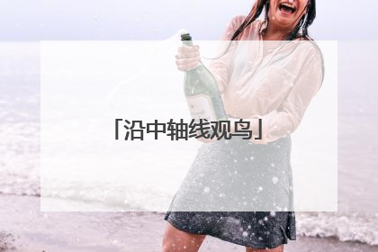 沿中轴线观鸟