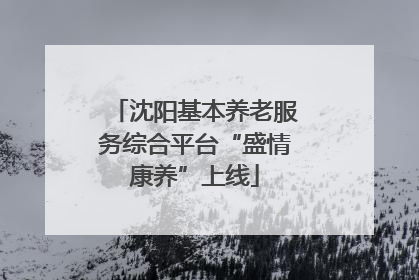 沈阳基本养老服务综合平台“盛情康养”上线