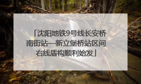 沈阳地铁9号线长安桥南街站—新立堡桥站区间右线盾构顺利始发