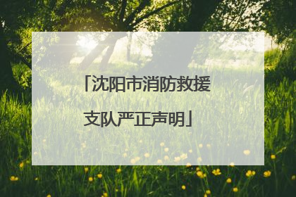 沈阳市消防救援支队严正声明