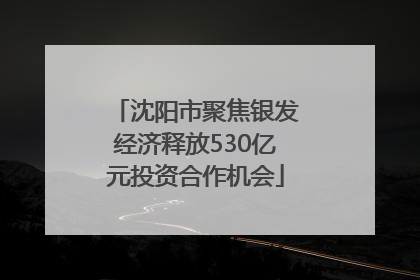 沈阳市聚焦银发经济释放530亿元投资合作机会