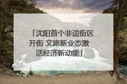 沈阳首个非遗街区开街 文旅新业态激活经济新动能