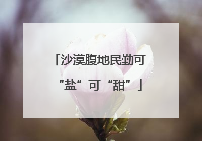 沙漠腹地民勤可“盐”可“甜”