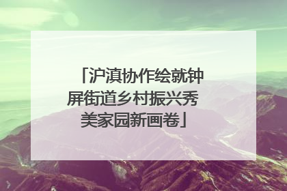 沪滇协作绘就钟屏街道乡村振兴秀美家园新画卷