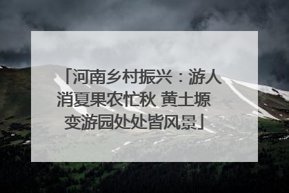 河南乡村振兴：游人消夏果农忙秋 黄土塬变游园处处皆风景