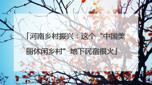 河南乡村振兴：这个“中国美丽休闲乡村”地下民宿很火