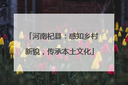 河南杞县：感知乡村新貌，传承本土文化