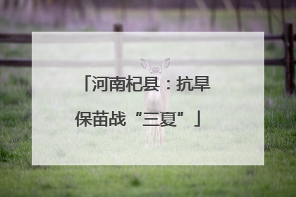 河南杞县：抗旱保苗战“三夏”