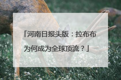 河南日报头版：拉布布为何成为全球顶流？
