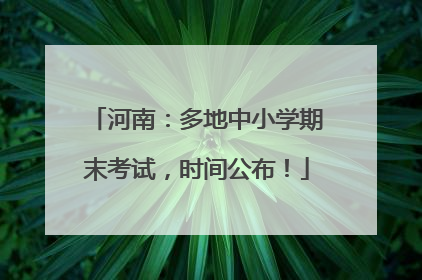 河南：多地中小学期末考试，时间公布！
