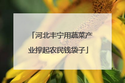 河北丰宁用蔬菜产业撑起农民钱袋子