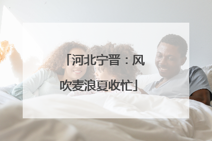 河北宁晋：风吹麦浪夏收忙