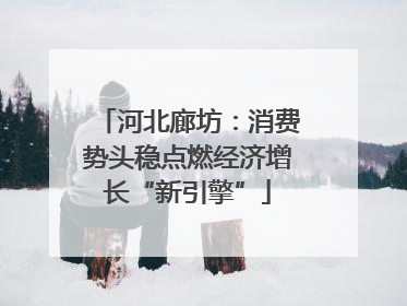 河北廊坊：消费势头稳点燃经济增长“新引擎”