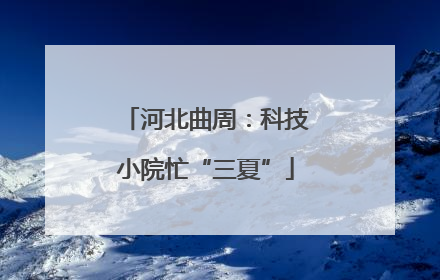 河北曲周：科技小院忙“三夏”