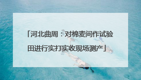 河北曲周：对棉麦间作试验田进行实打实收现场测产
