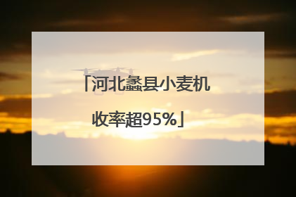 河北蠡县小麦机收率超95%