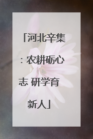 河北辛集：农耕砺心志 研学育新人