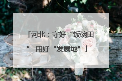 河北：守好“饭碗田” 用好“发展地”