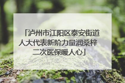 泸州市江阳区泰安街道人大代表新阶力量润桑梓 二次医保暖人心